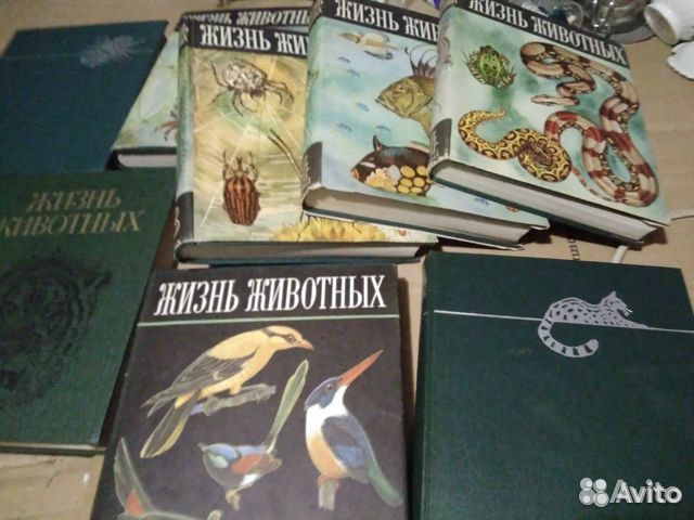 Книги. Жизнь животных 6 томов (7 книг)