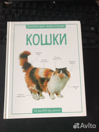 Книги про кошек