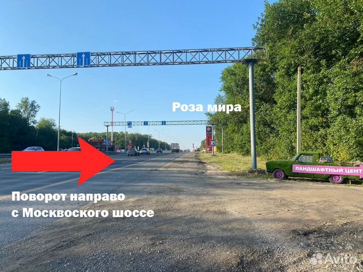 Рулонный газон с реализацией