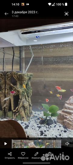 Аквариум