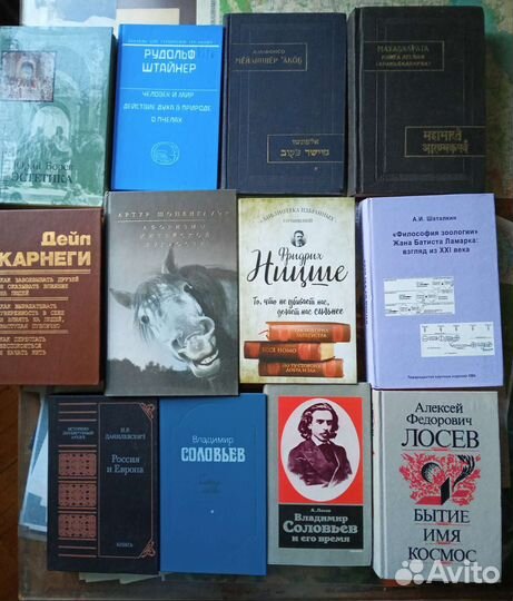 Философия Психология Эстетика Ницше Капитал