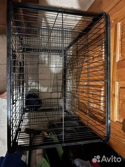 Клетка для крыс, шиншилл, хорьков, дегу