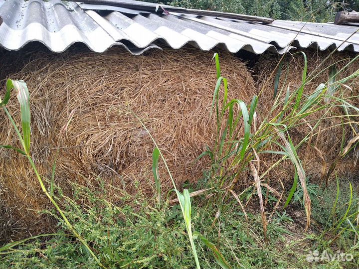 Продаю сено люцерны, разнотравие и солому