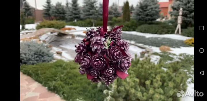 Шишки сосновые