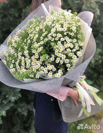 Цветы ромашки. Букеты ромашек. Цветы доставка