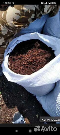 Перегной навоз
