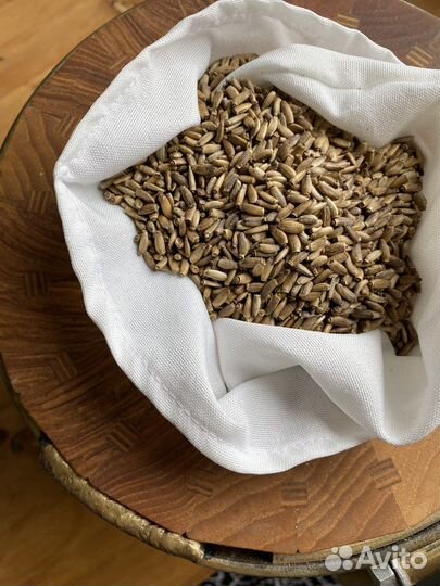 Сыродавленное масло из бочонка холодного отжима