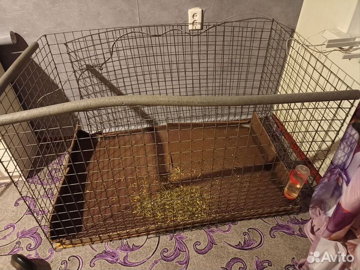 Вольер для животных