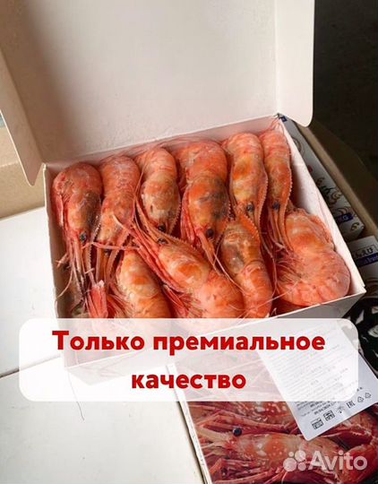 Морепродукты опт розница