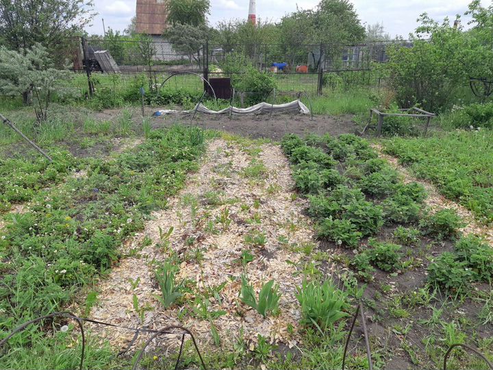 Дача 20 м² на участке 6 сот.