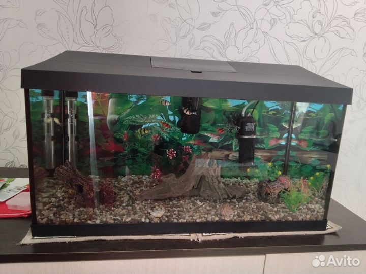 Аквариум