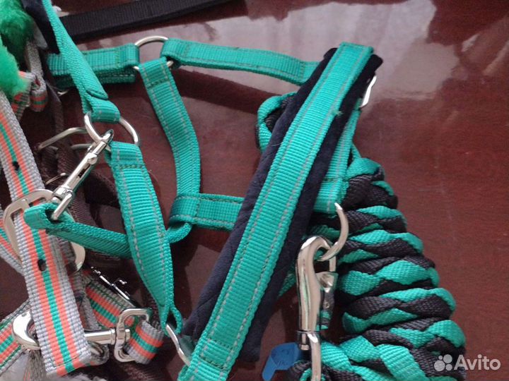 Недоуздок для лошади