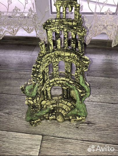 Коряга мангровая