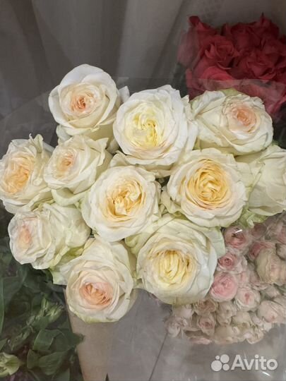 Розы по 11 штук