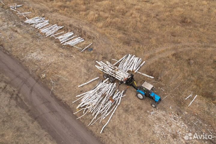 Полуприцеп лесовоз (сортиментовоз) Тигер 11680, 2022