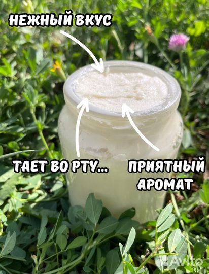 Аккураевый мед - отговорю покупать