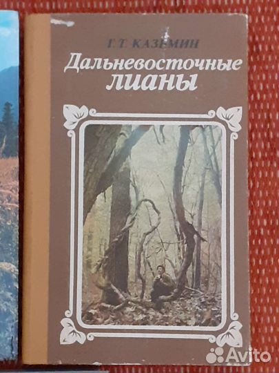 Кавказ Адыгея Дольмены Дальний Восток