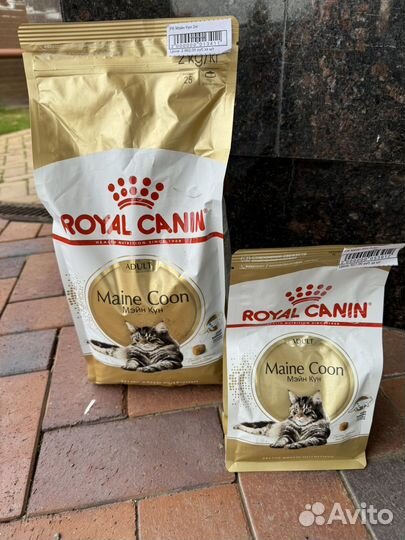 Royal canin для мейн кунов