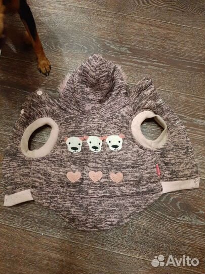 Одежда для собаки