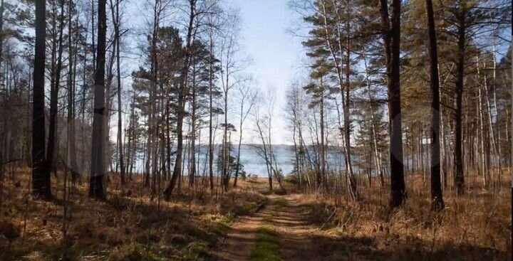 Участок 10 сот. (СНТ, ДНП)