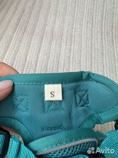 Шлейка, поводок для маленьких кошек и собак