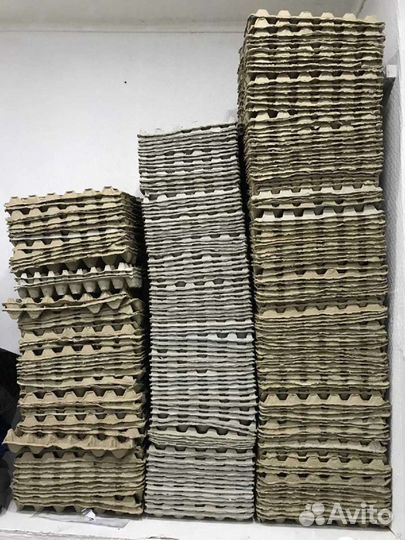 Лотки для яиц