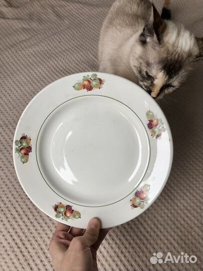 Тарелка зик Конаково крыжовник