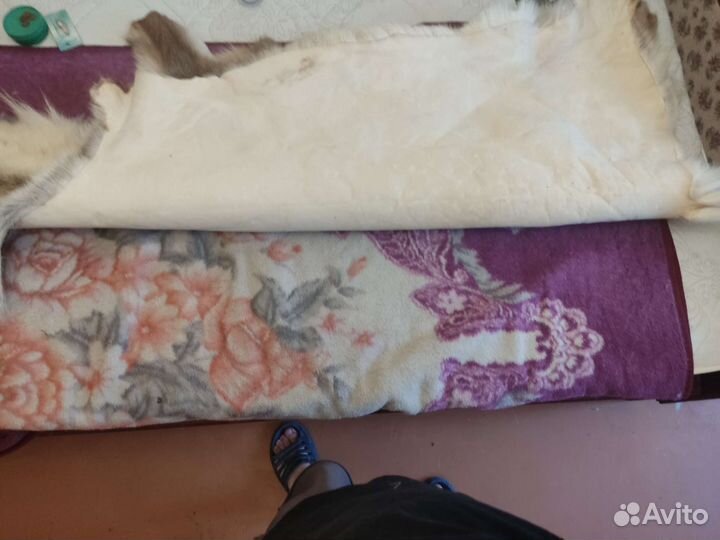 Шкура оленя натуральная