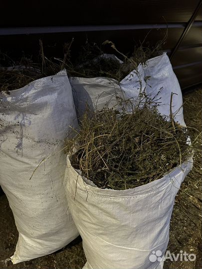 Сено люцерны в мешках