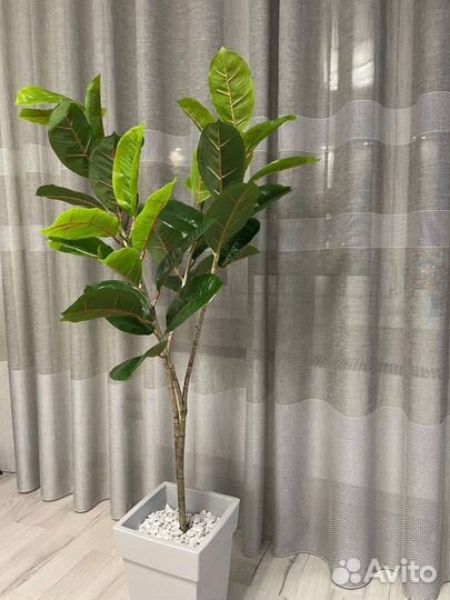 Искусственный фикус крупнолистовой