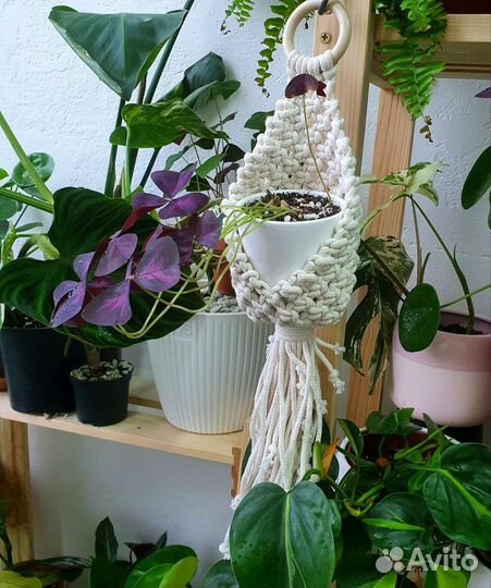 Кашпо подвесное макраме