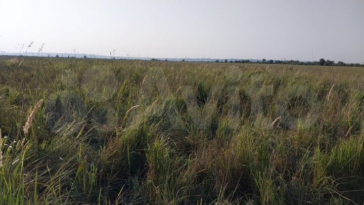 Участок 7,6 га (промназначения)