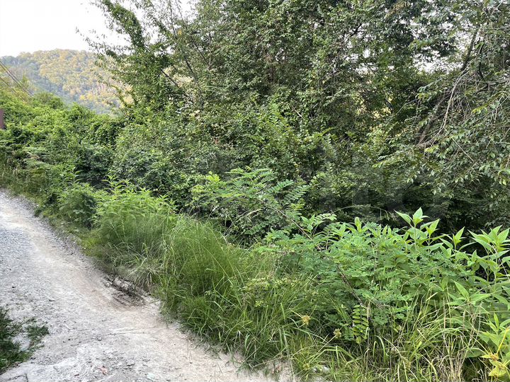 Участок 4,5 сот. (СНТ, ДНП)