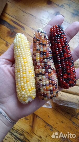 Лакомство для грызунов