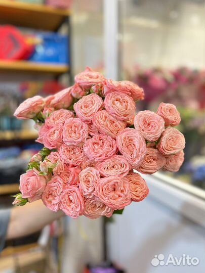 Кустовые розы