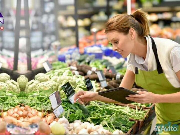 Выкладка в магазине (без кассы). Еженед оплата