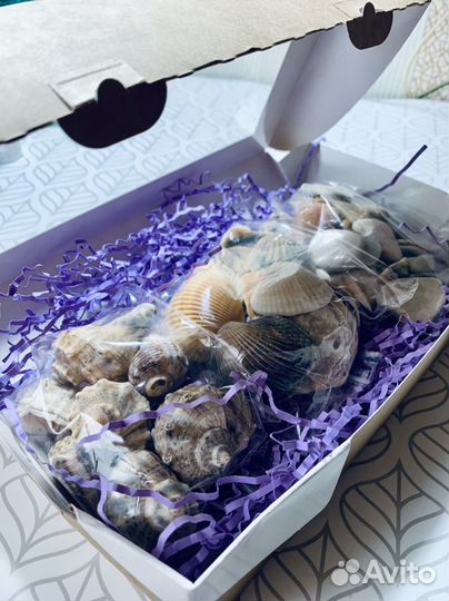 Подарочный набор морской дары моря ракушки