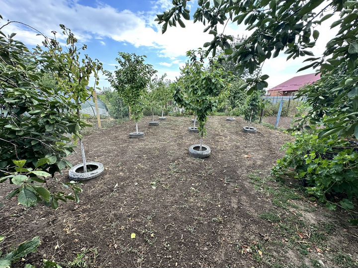 Дом 40 м² на участке 15 сот.