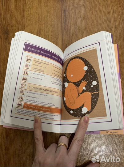 Беременность руководство пользователя