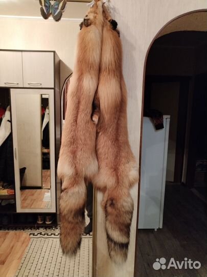 Шкурка животного