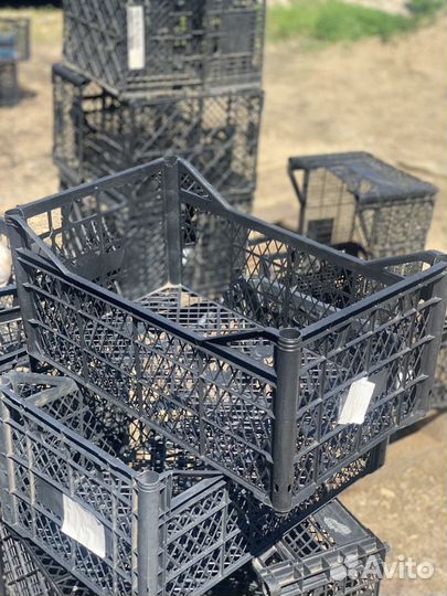 Ящики Апельсиновые