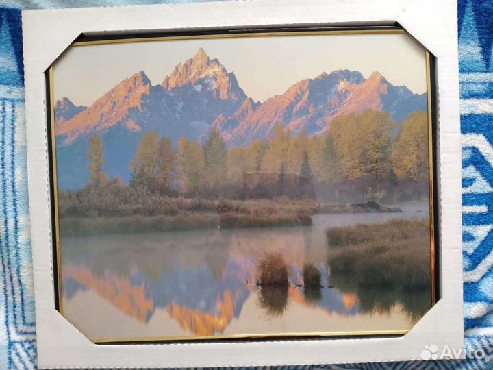 Картины и постеры