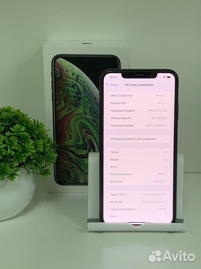 iPhone Xs Max, 256 ГБ