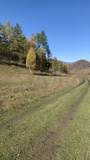 Участок 16 га (СНТ, ДНП)