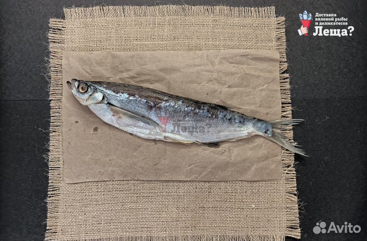 Чехонь рыба