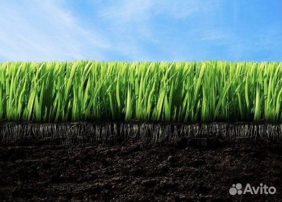 Чернозём сеяный самовывоз /доставка/ мешки