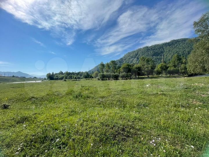 Участок 40 сот. (ИЖС)