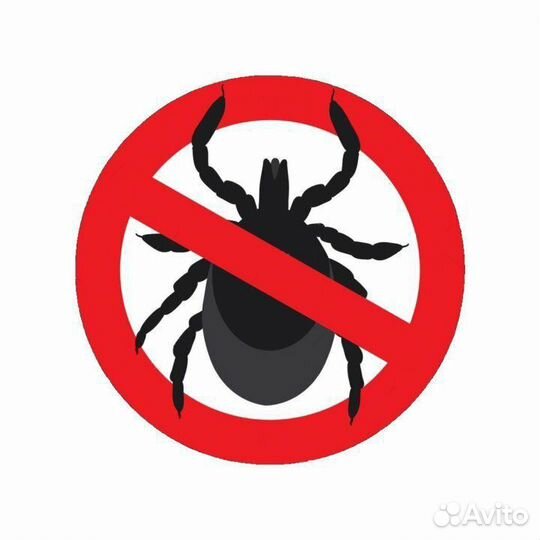 Обработка участка от насекомых