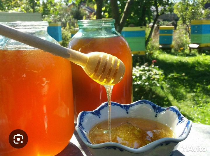 Мед С собственной пасеки
