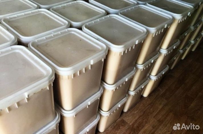 Мёд натуральный Алтайский опт минимально 16 кг